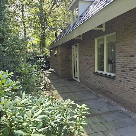Het Roodborstje *