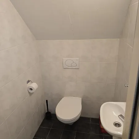 Het Roodborstje *