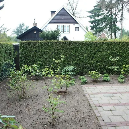 Het Roodborstje