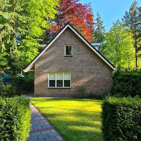 Het Roodborstje *